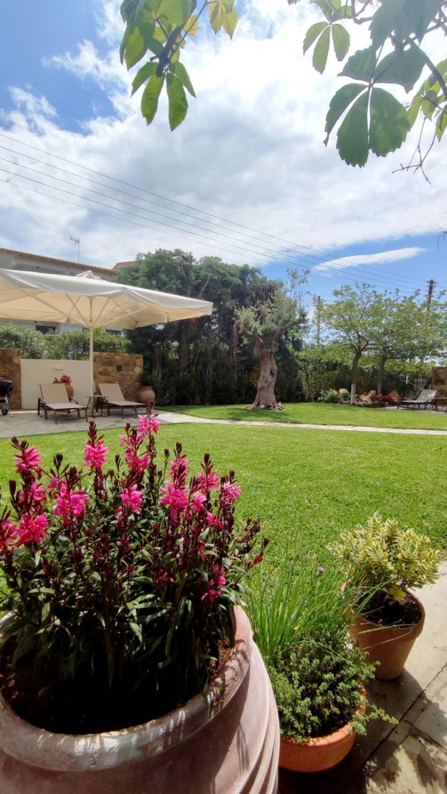Coel Luxury Suites By Rentalspro Services - Potidea Halkidiki Nea Poteidaia Zewnętrze zdjęcie
